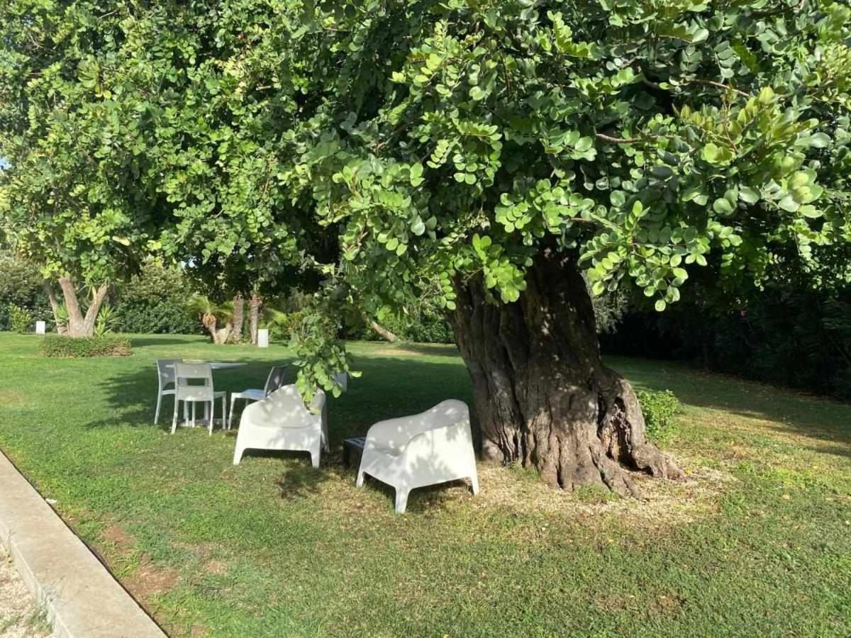 פוצאלו Torre Dantona Country Suites מראה חיצוני תמונה